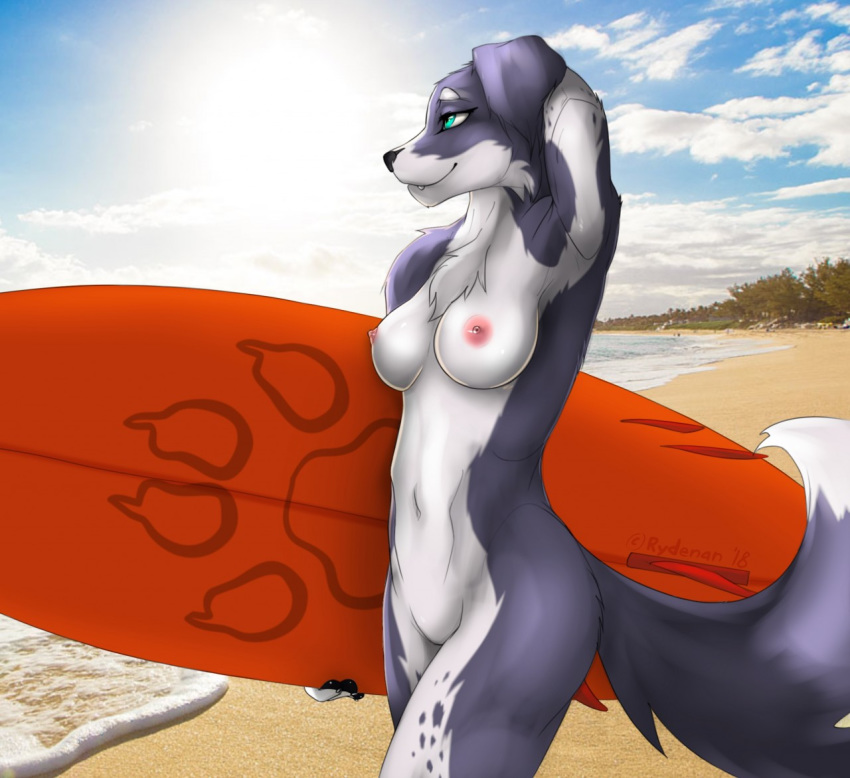 2018 beach blue_eyes border_collie breasts canine cloud collie dog female grin mammal nipples nude outside rydenan sand sea seaside sky smile solo spots sun surf surfboard surfing water