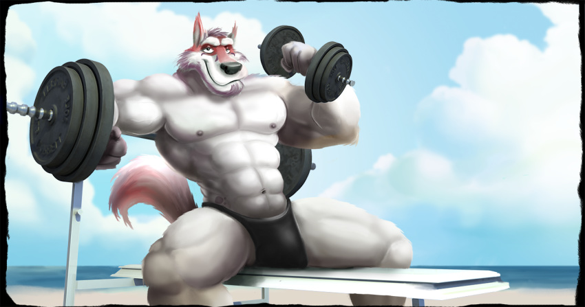 2014 abs anthro barbell beach biceps black_bottomwear black_clothing black_markings black_nose blue_sky canine clothed clothing cloud day digital_media_(artwork) dumbbell exercise facial_markings frostbiteposters fur grey_nipples looking_at_viewer male mammal markings multicolored_fur muscular muscular_male navel nipples outside pecs red_fur red_tail sea seaside sky smile solo speedo supermutt swimsuit two_tone_fur water weight_bench weightlifting weights white_fur wolf workout