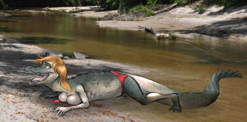 alligator beingobscene bikini blonde_hair blue_eyes bra breasts clothing crocodilian female green_scales hair human human_to_feral looking_back mammal mostly_nude open_mouth reptile scales scalie sharp_teeth solo swamp swimsuit teeth tongue tongue_out transformation underwear