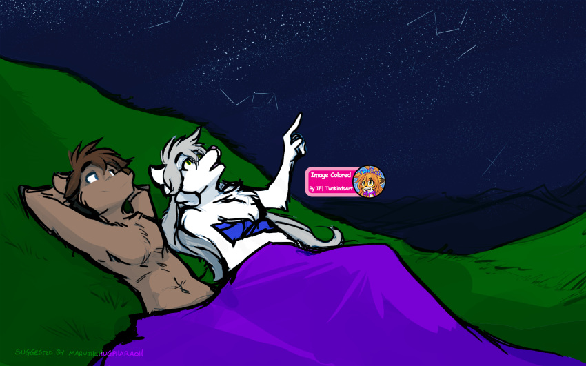 bedding blanket brown_fur canine chest_tuft clothed clothing digital_media_(artwork) female fur grass male mammal night outside raine_(twokinds) sky star starry_sky tom_fischbach tuft twokinds webcomic white_fur zen_(twokinds)