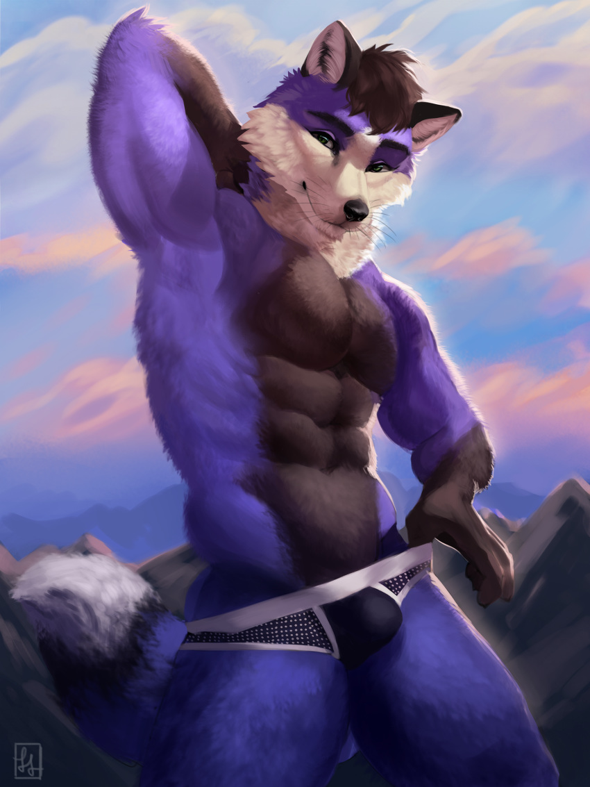 anthro bulge canine clothing digital_media_(artwork) fox fur hi_res looking_at_viewer male mammal pinup pose smile underwear zannos