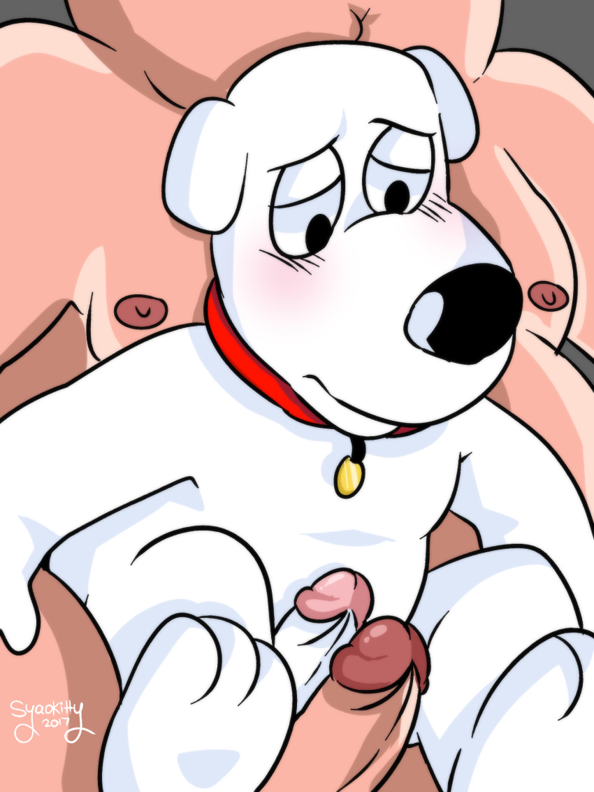 anthro brian_griffin canine collar dog duo erection family_guy hi_res human human_on_anthro humanoid_penis interspecies male male/male mammal nipples nude overweight penis peter_griffin syaokitty