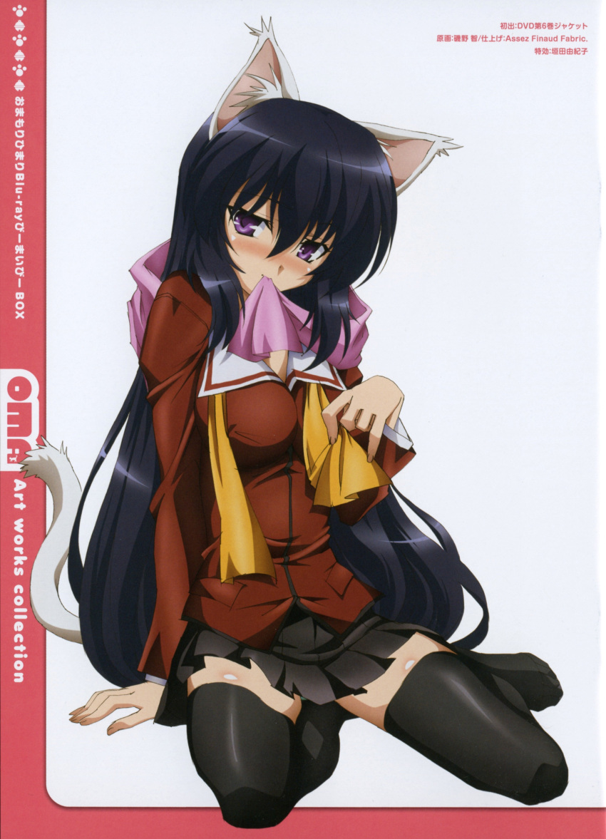 absurdres animal_ears arm_support black_legwear blue_hair blush breasts cat_ears cat_tail cleavage cover dvd_cover highres isono_satoshi large_breasts long_hair mouth_hold naughty_face noihara_himari official_art omamori_himari purple_eyes scan school_uniform seductive_smile sitting skirt smile solo tail thighhighs underwear very_long_hair zettai_ryouiki