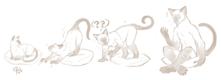 2014 ? amber-aria ambiguous_gender anthro cat feline feral feral_to_anthro mammal monochrome nude sequence siamese simple_background sitting solo stretching surprise transformation white_background