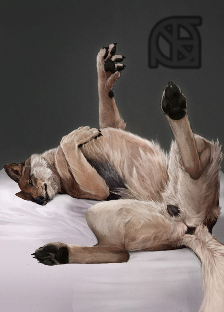 anus bed butt canine cosmiclife female feral flat_chested hi_res hindpaw lying mammal pawpads paws pinup pose presenting presenting_anus presenting_pussy pussy raised_tail semi-anthro solo spread_legs spreading teeth wolf