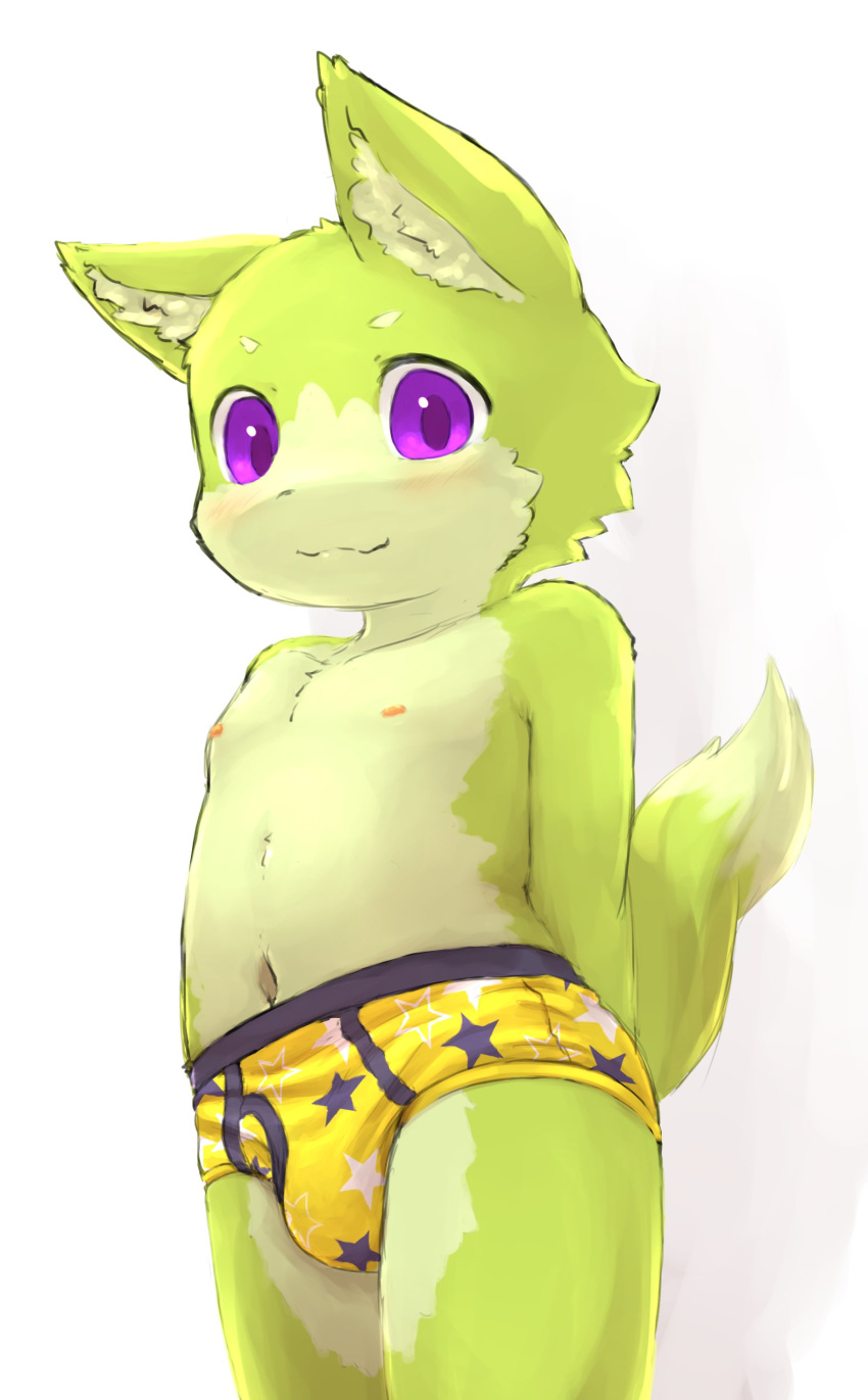 anthro briefs bulge canine clothed clothing cub dog fur male mammal navel nipples purple_eyes saru_gundan solo topless underwear yellow_fur young