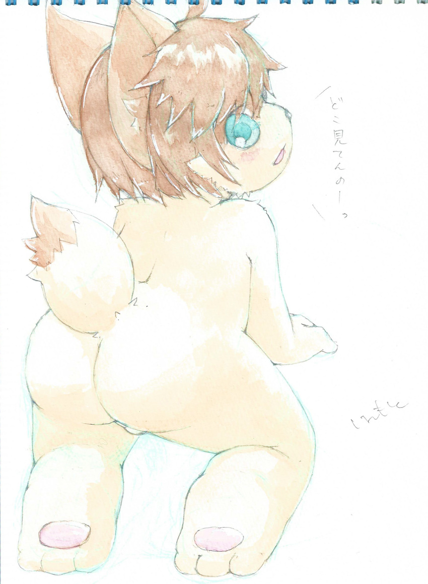 anthro backsack balls blue_eyes bovine brown_hair cattle cub fur hair hshmoto japanese_text looking_back male mammal nude rear_view simple_background solo text white_background yellow_fur young