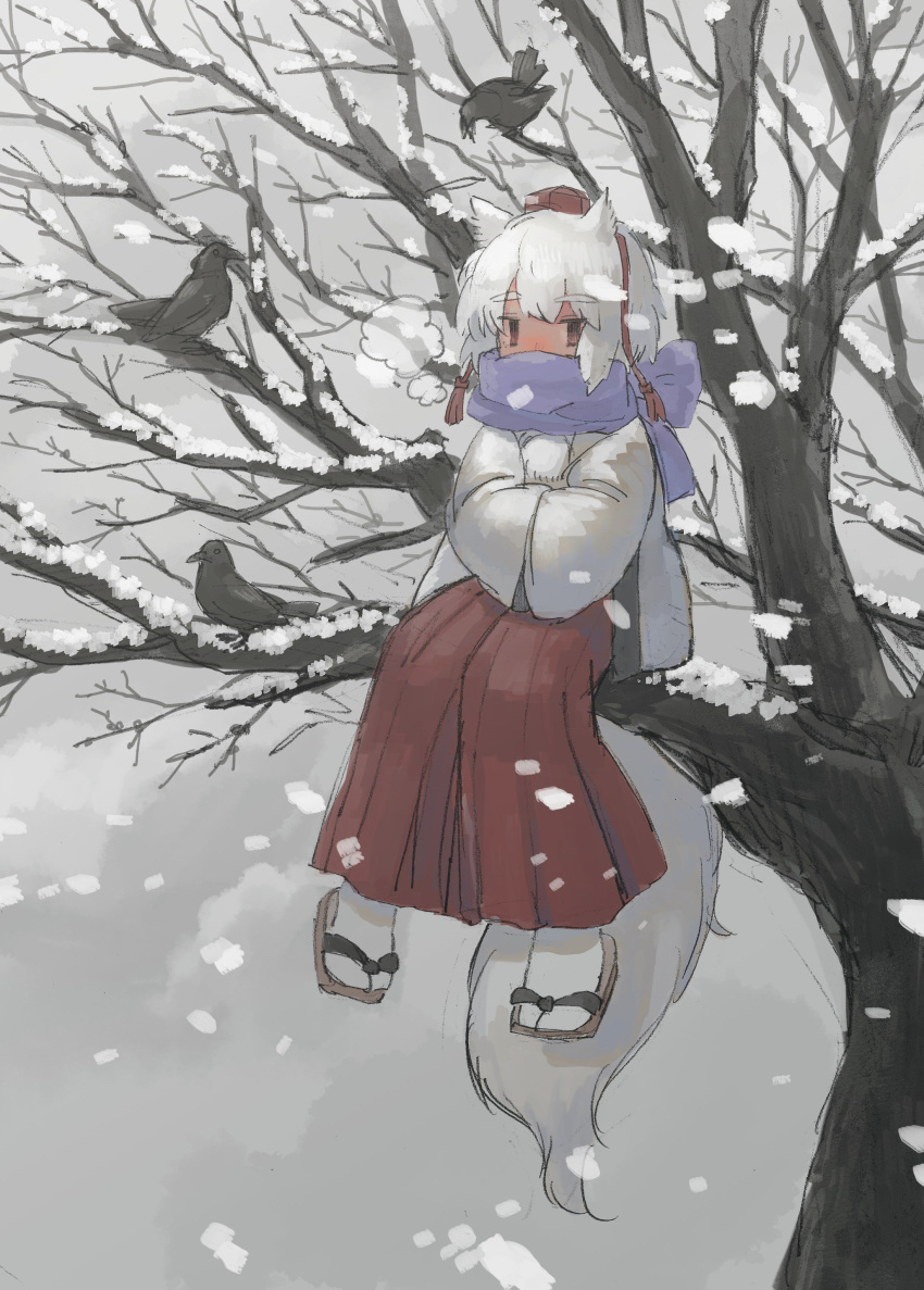 absurdres animal_ears bird cold commentary_request crow hat highres in_tree inubashiri_momiji pants pororikin red_eyes red_hat red_pants sandals scarf sitting sitting_in_tree snow snowing tail touhou tree white_hair wolf_ears wolf_tail