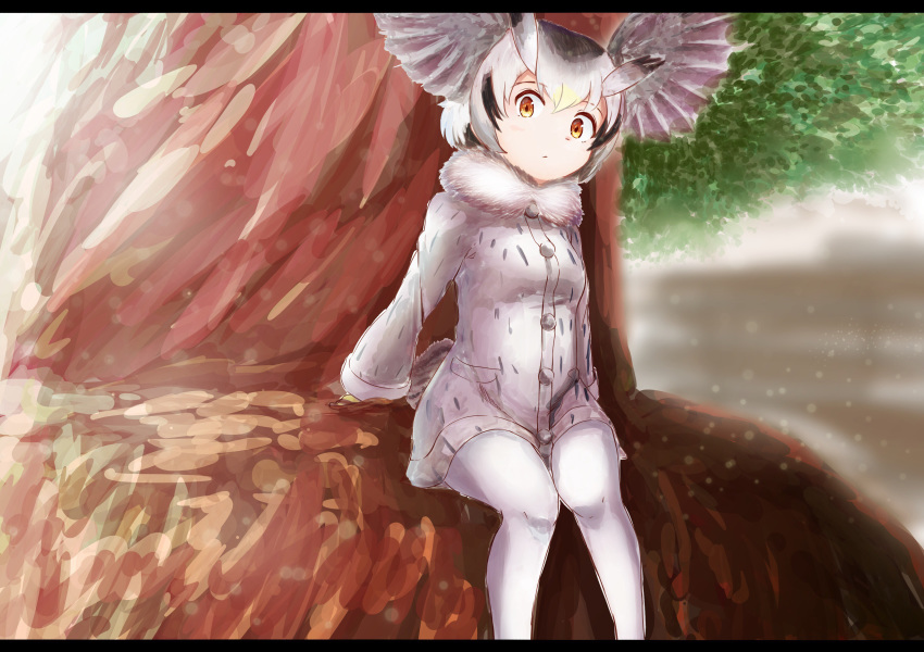 absurdres blonde_hair commentary frame fur_collar gloves grey_coat grey_hair head_wings highres in_tree kemono_friends long_sleeves looking_at_viewer multicolored_hair northern_white-faced_owl_(kemono_friends) pantyhose short_hair sitting sitting_in_tree solo tail_feathers tamiku_(shisyamo609) tree white_hair white_legwear yellow_eyes yellow_gloves