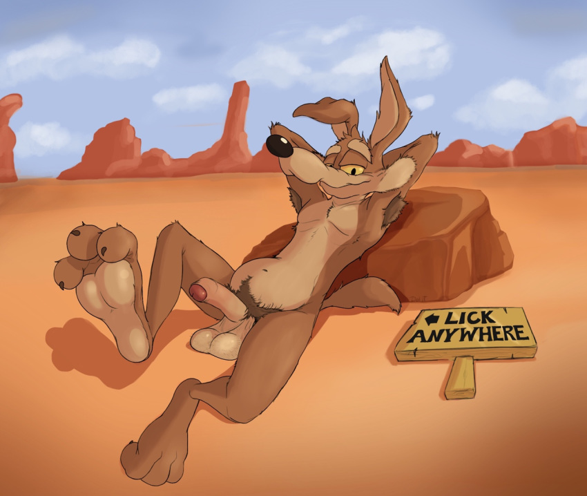 3_toes anthro armpit_hair balls canine claws coyote delirost feet humanoid_penis looney_tunes male mammal outside penis plantigrade pubes soles solo toe_claws toes uncut warner_brothers wile_e._coyote