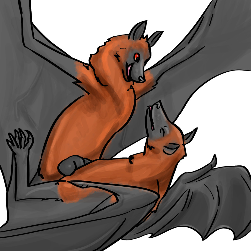 2018 5_toes anatomically_correct anatomically_correct_genitalia anatomically_correct_penis anvil_position balls bat bat_penis bat_wings betlv black_wings chest_tuft claws digital_media_(artwork) duo erection eyes_closed female feral feral_on_feral flying_fox fur happy happy_sex hi_res legs_up licking licking_lips looking_down looking_pleasured lying male male/female male_penetrating mammal membranous_wings nude on_back orange_body orange_fur penetration penis sex shaded simple_background toe_claws toes tongue tongue_out tuft vaginal vaginal_penetration white_background wings