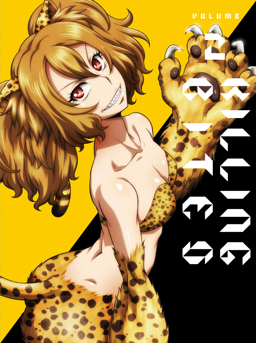 animal_ears ass bikini_top brown_hair cat_ears cat_tail claws collarbone copyright_name cover cover_page fur grin highres killing_bites looking_at_viewer manga_cover nakanishi_eruza official_art orange_(color) paws red_eyes sharp_teeth smile solo tail teeth twintails v-shaped_eyebrows watanabe_kazuo