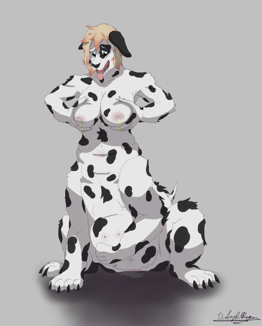 bosom breast_milking breasts canine dalmatian dog feet female fur hair lactating mammal milk muzzle_(disambiguation) nipples nude open_mouth paws precum pregnant pussy solo taur thejoyfuldragon wet