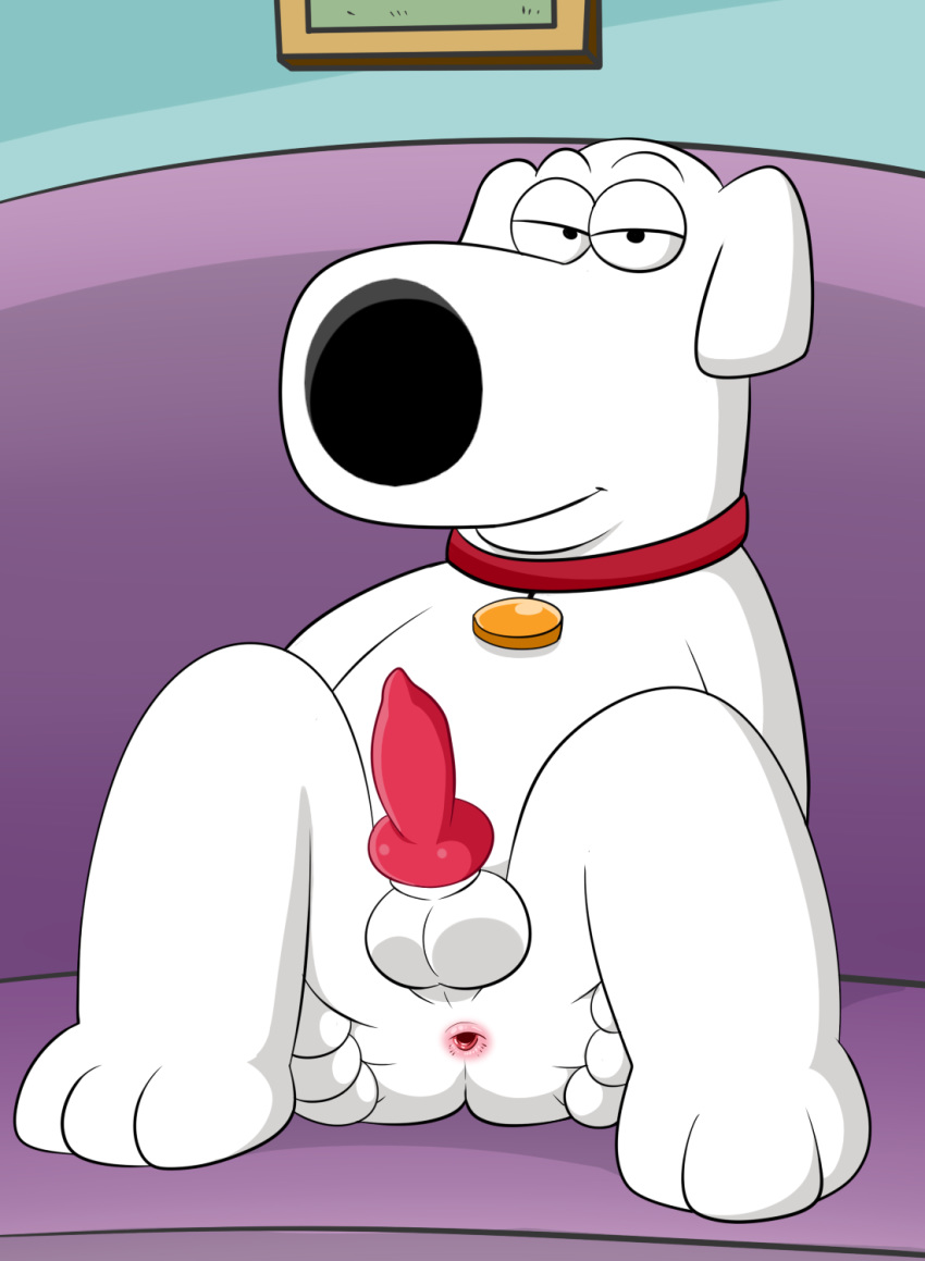2018 anatomically_correct anatomically_correct_penis animal_genitalia animal_penis anus balls brian_griffin butt canine canine_penis collar dog erection family_guy half-closed_eyes knot lonbluewolf looking_at_viewer male mammal naked_collar penis pink_anus pink_penis presenting presenting_anus presenting_hindquarters sheath solo spread_anus spreading white_balls