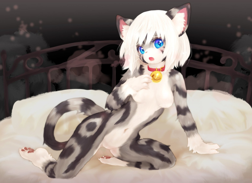 1girl artist_request blue_eyes cat furry open_mouth solo tashiro_yuu white_hair