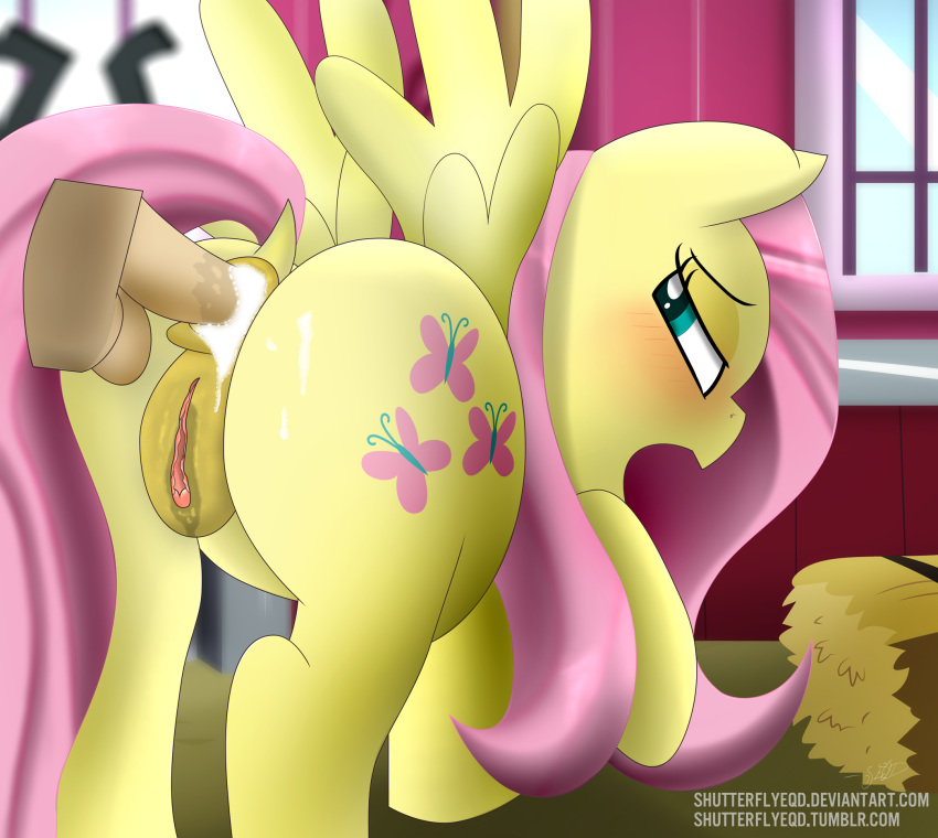 2016 anal anal_penetration anus balls barn blush butt clitoral_winking clitoris cum cum_in_ass cum_inside cutie_mark disembodied_penis equine erection feathered_wings feathers female feral fluttershy_(mlp) friendship_is_magic fur green_eyes hair hay inside looking_at_viewer looking_back male mammal my_little_pony open_mouth pegasus penetration penis pink_hair pussy pussy_juice sex shutterflyeqd spread_wings window wings yellow_feathers yellow_fur