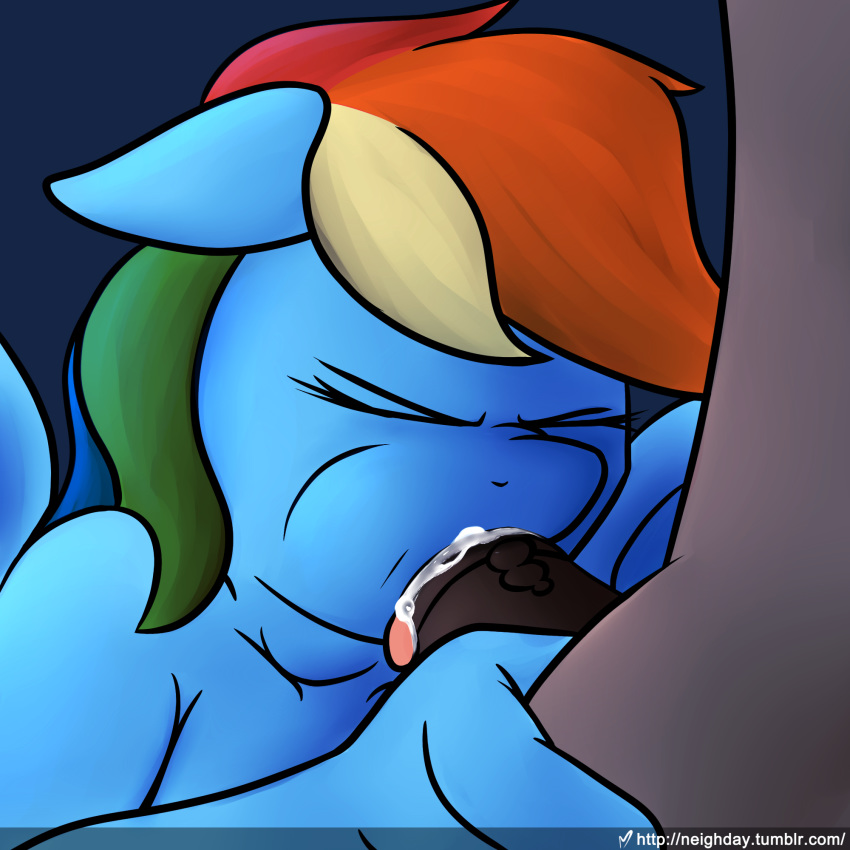 2016 anthro anthrofied blue_feathers blue_fur cum cum_in_mouth cum_inside duo equine erection eyes_closed feathered_wings feathers fellatio female friendship_is_magic fur grey_background hair hi_res male mammal multicolored_hair my_little_pony neighday oral pegasus penis rainbow_dash_(mlp) rainbow_hair sex simple_background tongue tongue_out wings