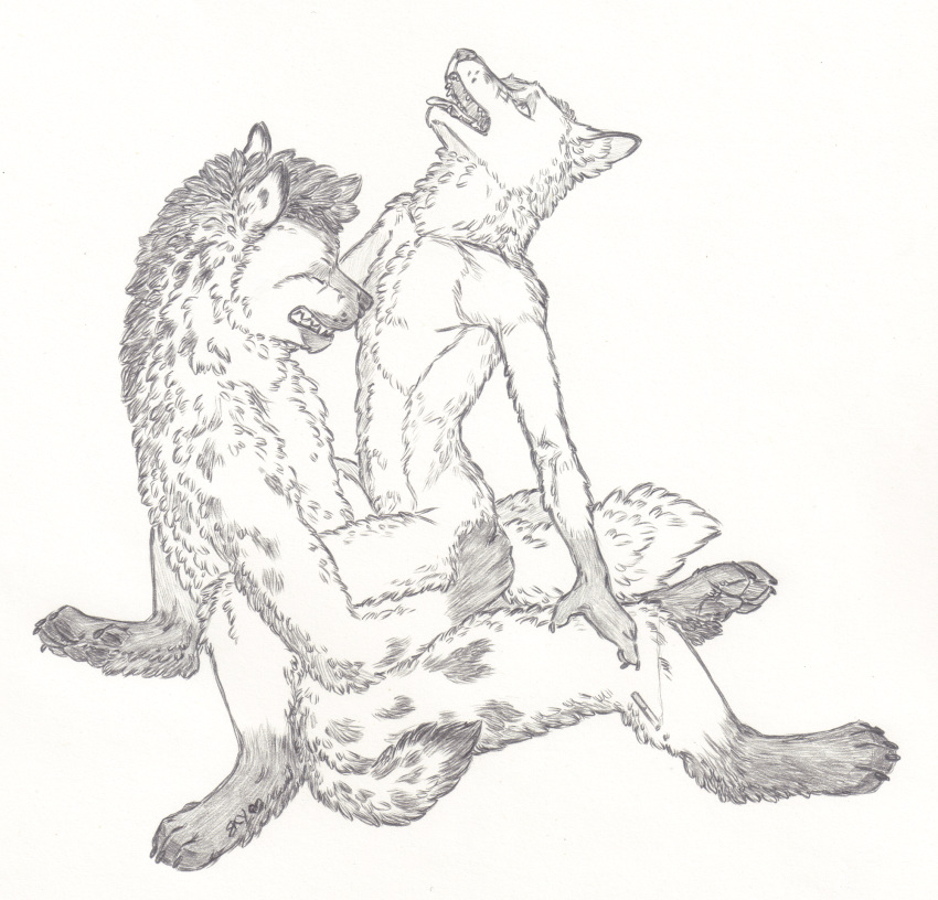 anal anal_penetration anthro anthro_on_anthro canine cigarette claws duo eyes_closed fluffy fox gloves_(marking) greyscale hyena looking_pleasured male male/male mammal markings mastery_position monochrome open_mouth pawpads penetration penis sex simple_background sitting skyfifer socks_(marking) toe_claws tongue tongue_out