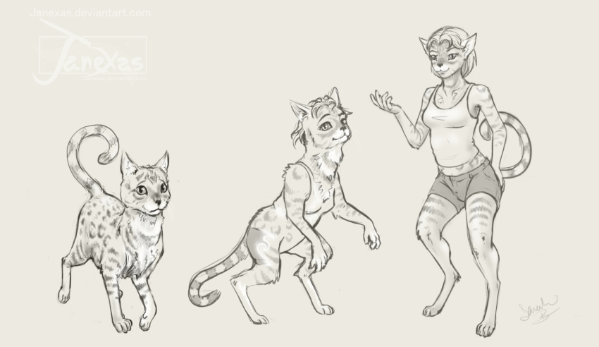 2014 anthro barefoot bengal_cat cat clothed clothing feline female feral feral_to_anthro hair looking_at_viewer lylas mammal sequence shirt short_hair simple_background smile solo standing tank_top transformation