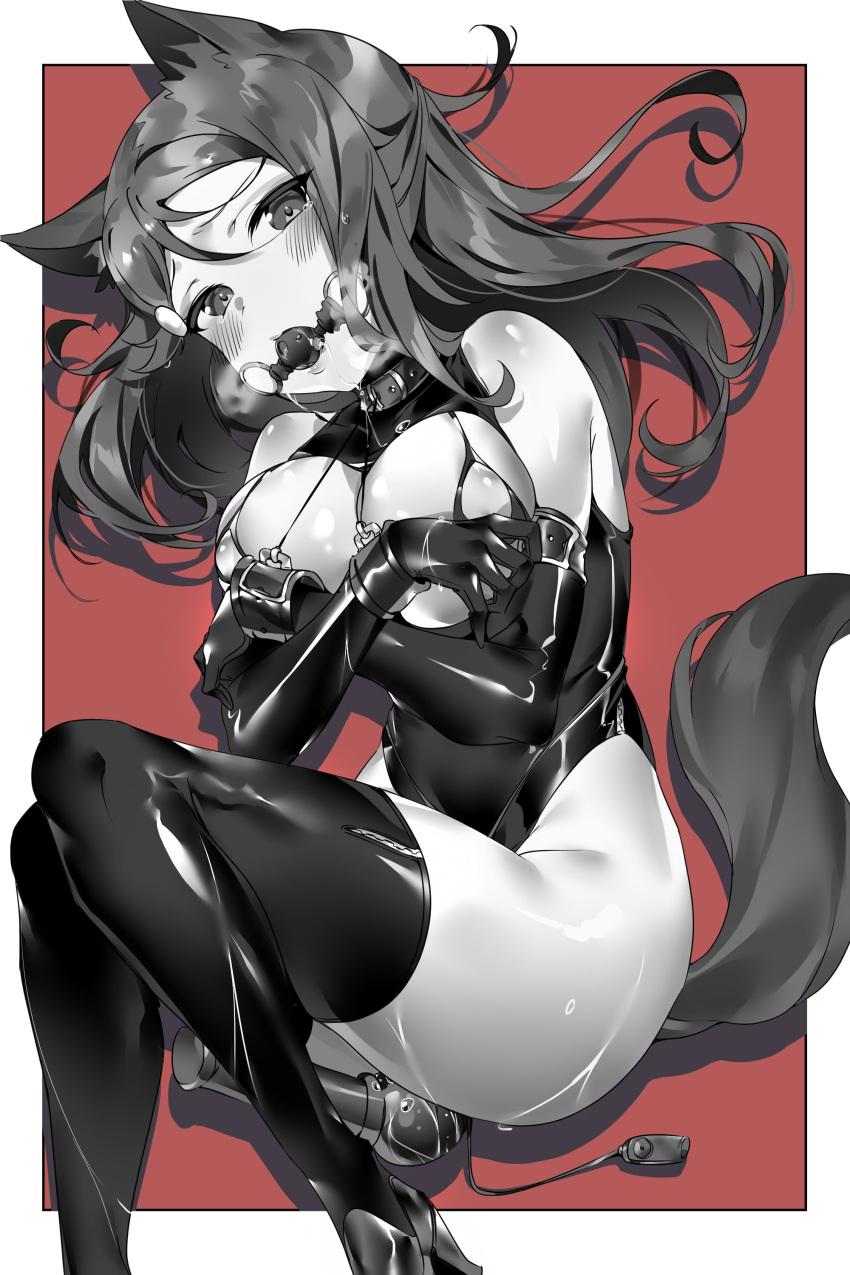 absurdres animal_ears bdsm black_legwear blush border breasts covering covering_breasts fox_ears fox_tail gag gagged hair_ornament hairclip half_updo heavy_breathing high_heels highres knees_together_feet_apart large_breasts leotard long_hair looking_at_viewer love_live! love_live!_sunshine!! lying monochrome on_side pussy_juice red_background sakurauchi_riko shadow shiny shiny_clothes shiny_skin solo tail tears tem10 thighhighs vibrator white_border