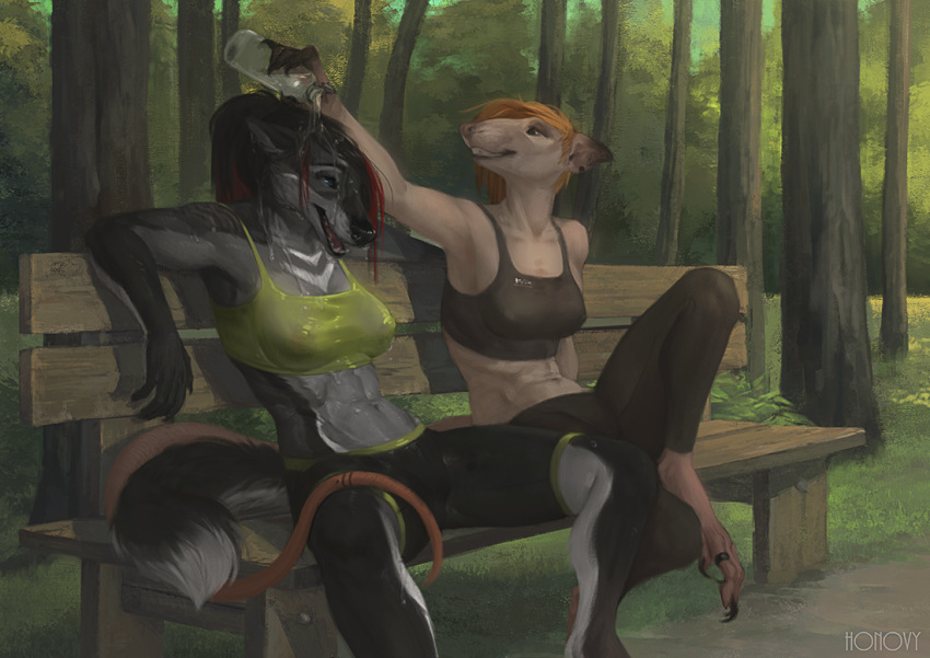 anthro black_lips black_nose breasts canine clothed clothing detailed_background duo female forest honovy mammal outside rat rodent sheer_clothing smile translucent transparent_clothing tree wet_clothing wolf