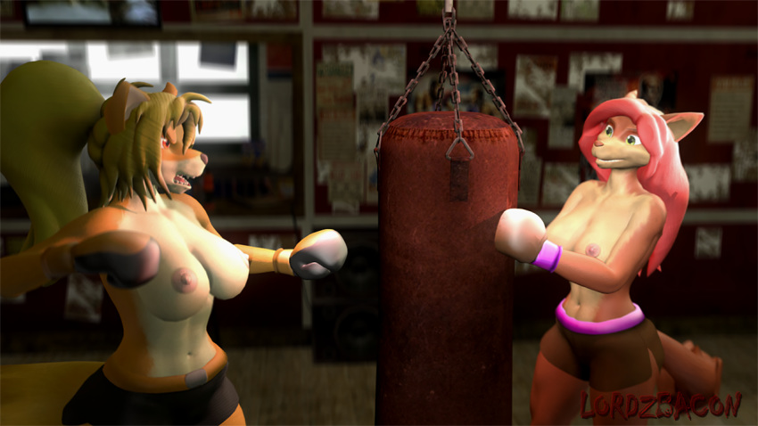 3d_(artwork) big_breasts boxing breasts canine clothed clothing digital_media_(artwork) exercise female fox friends garry's_mod gym lordzbacon mammal punch sport topless training workout