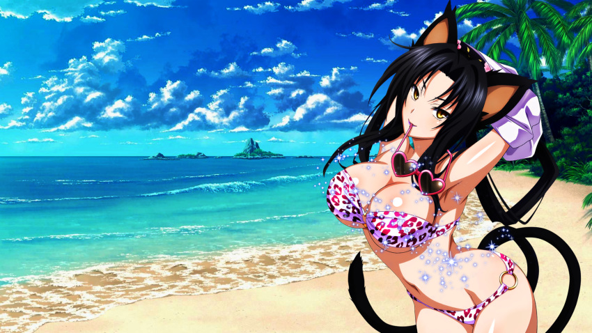 animal_ears beach bikini black_hair breasts cat_ears cat_tail cleavage covered_nipples day eyewear_in_mouth eyewear_removed hair_rings hairband high_school_dxd high_school_dxd_born highres kuroka_(high_school_dxd) large_breasts lipstick makeup mouth_hold multiple_tails navel o-ring o-ring_bottom ocean purple_lipstick sky slit_pupils solo sunglasses swimsuit tail third-party_edit wallpaper water yellow_eyes