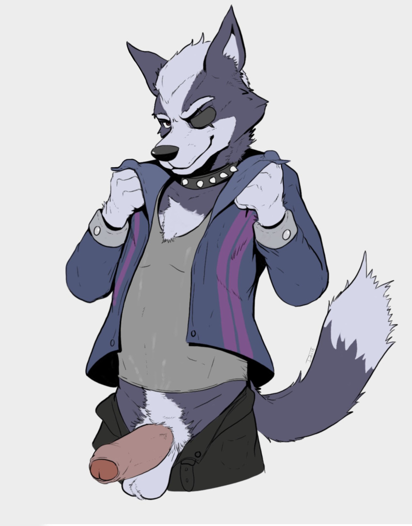 2018 anthro balls canine clothed clothing delirost digital_media_(artwork) erection fur humanoid_penis looking_at_viewer male mammal nintendo partially_retracted_foreskin penis sex simple_background solo star_fox uncut video_games wolf wolf_o'donnell