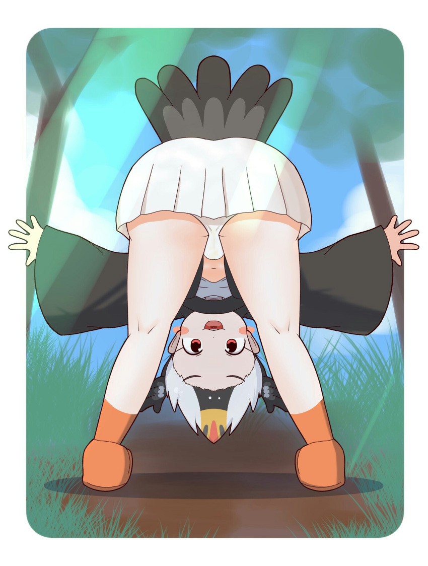 :3 :d ass ass_focus atlantic_puffin_(kemono_friends) bangs bird_girl bird_tail bird_wings black_hair blush_stickers bob_cut border commentary day eyebrows_visible_through_hair eyelashes from_behind full_body head_wings highres kemono_friends legs_apart long_sleeves looking_at_viewer miniskirt multicolored_hair navel open_mouth orange_footwear outdoors outside_border outstretched_arms panties pantyshot parted_bangs pleated_skirt raised_eyebrows rakugakiraid red_eyes rounded_corners short_hair skirt sleeves_past_wrists smile solo standing underwear upshirt white_border white_hair white_panties white_skirt wide_sleeves wings