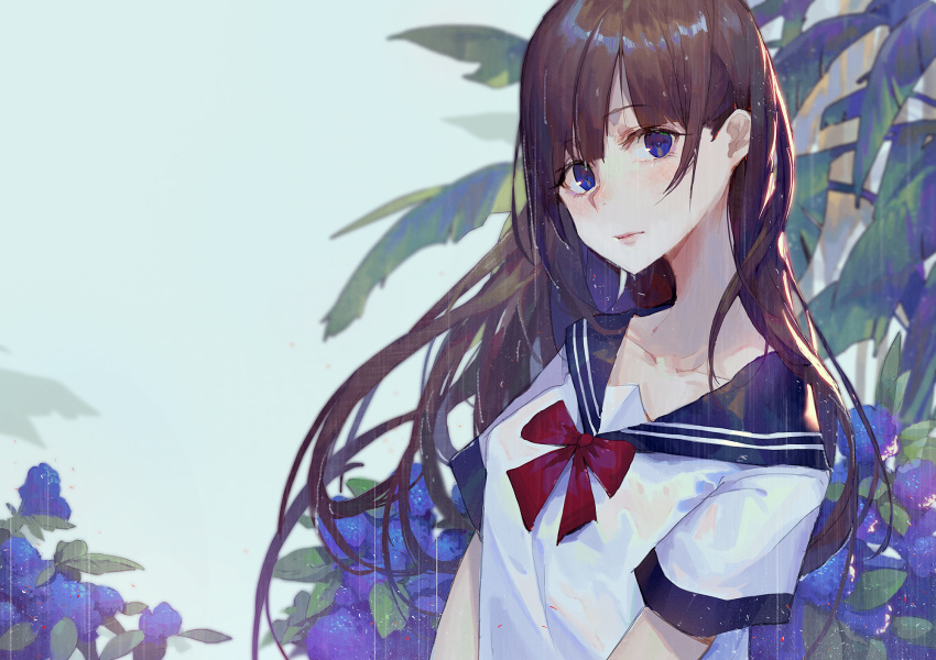 blue_sailor_collar blurry blurry_background brown_hair closed_mouth commentary depth_of_field flower highres kuroduki_(pieat) long_hair looking_at_viewer neck_ribbon original purple_eyes purple_flower rain red_neckwear red_ribbon ribbon sailor_collar shirt short_sleeves solo upper_body wet wet_clothes wet_hair white_shirt