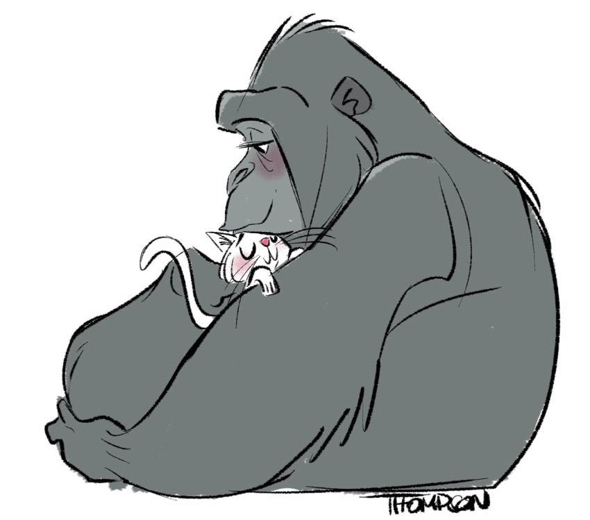 2018 ape blush cat cuddling digital_drawing_(artwork) digital_media_(artwork) eyes_closed feline fur gorilla grey_fur koko_(gorilla) mammal pink_nose primate side_view signature simple_background sitting size_difference steve_thompson whiskers white_background white_fur