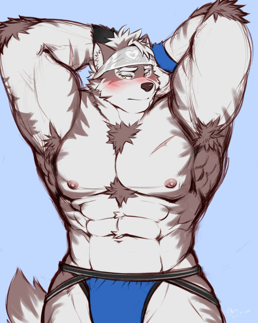 2018 abs absurd_res anthro armpit_hair canine clothing dhanisani fur hairy headband hi_res horkeukamui kemono male mammal multicolored_fur muscular muscular_male nipples pecs simple_background solo tokyo_afterschool_summoners white_fur wolf