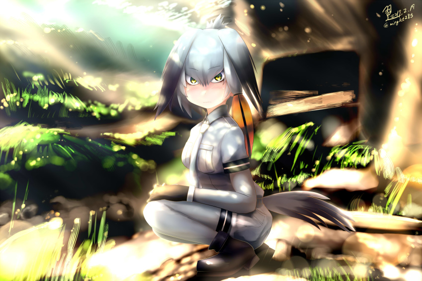 artist_name bangs bird bird_tail black_gloves black_hair blush bodystocking closed_mouth collared_shirt commentary dated day eyebrows_visible_through_hair fingerless_gloves from_side gloves grey_hair grey_legwear grey_shirt grey_shorts hair_between_eyes hand_on_own_knee head_wings highres kemono_friends light_frown long_hair looking_at_viewer low_ponytail multicolored_hair necktie orange_hair outdoors pantyhose shirt shoebill_(kemono_friends) shorts side_ponytail signature silver_hair solo squatting staring tsubasa_(abchipika) tsurime white_neckwear
