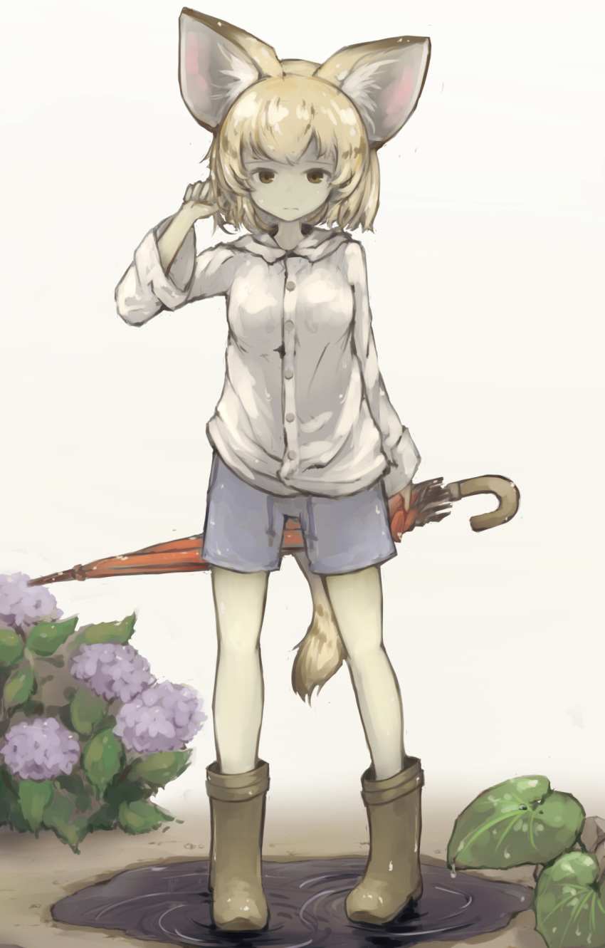 animal_ears arm_up blonde_hair boots cat_ears cat_tail commentary_request flower highres holding holding_umbrella hood hood_down hydrangea kemono_friends puddle raincoat rubber_boots sand_cat_(kemono_friends) short_hair shorts solo standing suginakara_(user_ehfp8355 tail umbrella
