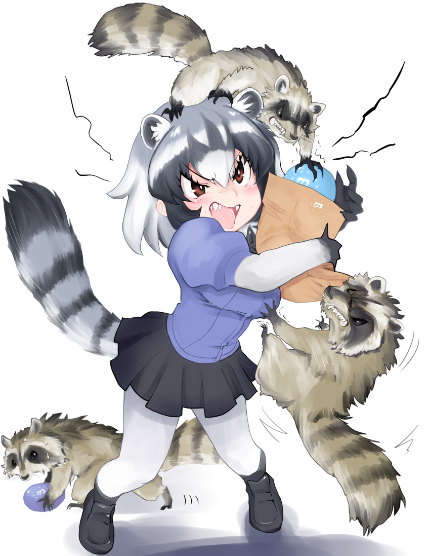 absurdres angry animal animal_ears bag bangs biting black_bow black_footwear black_hair black_neckwear black_skirt blouse blue_blouse blush bow bowtie breast_grab breasts brown_eyes commentary_request common_raccoon_(kemono_friends) dangling elbow_gloves extra_ears eyebrows_visible_through_hair eyelashes fangs fingernails food food_theft full_body fur_collar furrowed_eyebrows gloves grabbing grey_hair hair_between_eyes highres holding holding_bag holding_food japari_bun japari_symbol kemono_friends leaning_forward loafers medium_breasts miniskirt motion_lines multicolored multicolored_clothes multicolored_gloves multicolored_hair open_mouth pantyhose paper_bag pigeon-toed pleated_skirt puffy_short_sleeves puffy_sleeves raccoon raccoon_ears raccoon_tail running ryou_(cagw5223) shadow sharp_fingernails sharp_teeth shoes short_sleeves shouting skirt solo standing sweat tail teeth theft v-shaped_eyebrows white_background white_gloves white_hair white_legwear