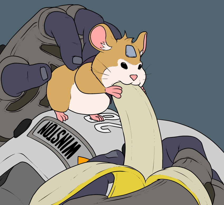 2018 ambiguous_gender ape banana black_eyes blue_background duo eating feral food fruit fur gorilla hammond_(overwatch) hamster hi_res holding_object humor innuendo mammal meme methados nude overwatch parody primate rodent simple_background size_difference solo_focus suggestive suggestive_food tan_fur video_games winston_(overwatch)