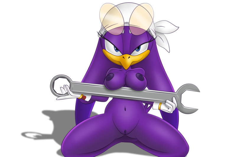 2018 anthro avian bandanna beak bedroom_eyes bird blue_eyes breasts clitoris clothing davius digital_media_(artwork) eyewear feathers female gloves half-closed_eyes looking_at_viewer nipples nude presenting purple_feathers pussy seductive simple_background smile solo sonic_(series) sonic_riders swallow_(bird) video_games wave_the_swallow