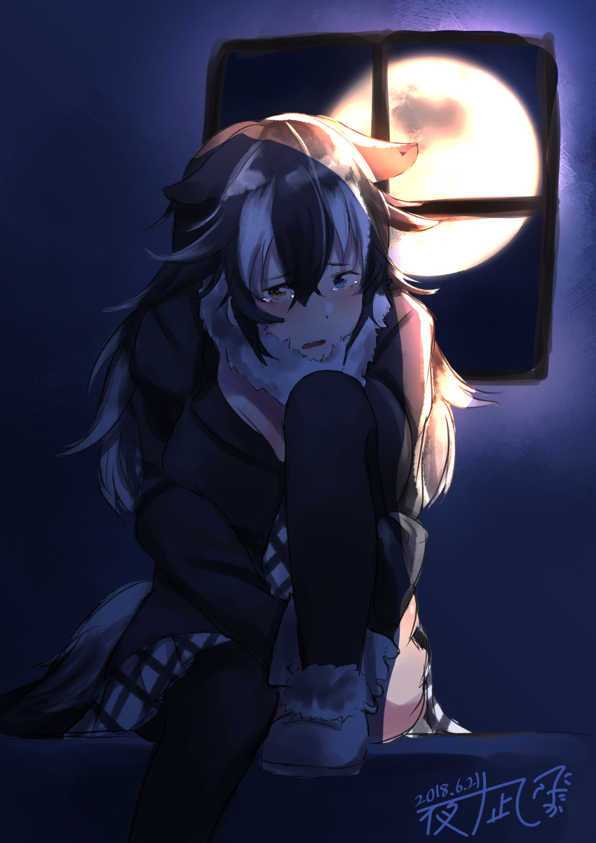 2018 absurd_res animal_humanoid big_breasts biped blush breasts canine cleavage clothed clothing crying dark_theme digital_drawing_(artwork) digital_media_(artwork) ears_back female fluffy fluffy_tail footwear front_view frown full_moon fur grey_hair grey_tail grey_wolf_(kemono_friends) hair heterochromia hi_res holding_leg humanoid inside japanese kemono_friends leggings legwear light_skin lighting looking_at_viewer mammal moon moonlight multicolored_hair neck_tuft night open_frown open_mouth plaid raised_leg sad shoes sitting skirt sky solo suit tan_skin tears tuft two_tone_hair upset white_fur white_hair window wolf_humanoid 夜凪にたか