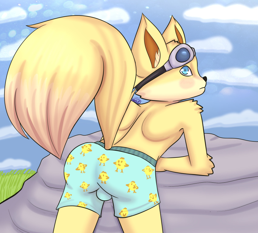 absurd_res anthro boxers_(clothing) bulge canine clothed clothing cloud cub damian5320 fennec fox fur hi_res male mammal paladins pip_(paladins) rear_view rock simple_background sky solo topless underwear yellow_fur young