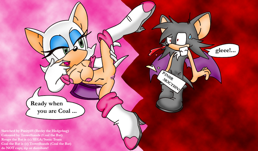 purity rouge_the_bat sonic_team tagme