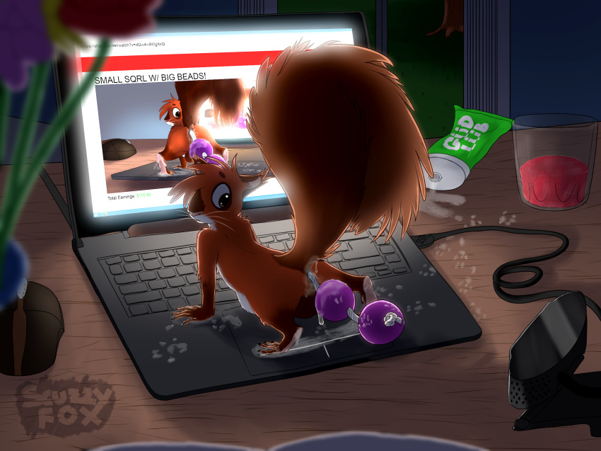 2018 abdominal_bulge absurd_res all_fours anal_beads anus balls computer dark hi_res inside laptop looking_back lube male mammal messy mouse night presenting reed_(scuzzyfox) reed_scuzzyfox rodent scuzzyfox semi-anthro sex_toy solo spread_legs spreading squirrel table webcam