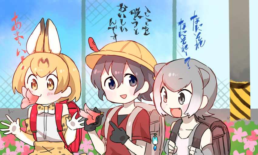 alternate_headwear animal_ears backpack bag bag_charm bare_shoulders black_hair blonde_hair blue_eyes blush bow bowtie charm_(object) check_translation child commentary_request elbow_gloves eyebrows_visible_through_hair fang feathers fingerless_gloves flower gloves grey_eyes grey_hair hat holding_strap kaban_(kemono_friends) kemono_friends lucky_beast_(kemono_friends) multicolored_hair multiple_girls open_mouth otter_ears randoseru school_hat serval_(kemono_friends) serval_ears serval_print shirt short_hair short_sleeves sleeveless small-clawed_otter_(kemono_friends) t-shirt translation_request wagiyabosa_jirou white_hair yellow_eyes