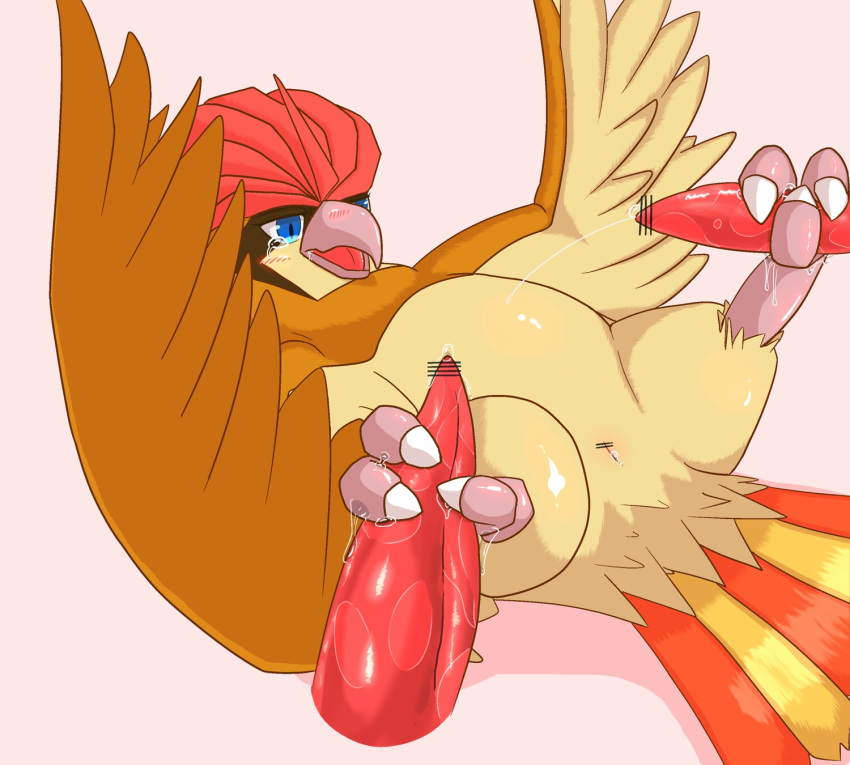3_toes ambiguous_gender animal_genitalia avian beak better_version_at_source bird censor_bar claws cloaca disembodied_penis double_footjob feet foot_fetish footjob group group_sex male male/ambiguous nintendo penis pidgeotto pok&eacute;mon pok&eacute;mon_(species) sex talonjob talons tapering_penis toe_claws toes tya. video_games