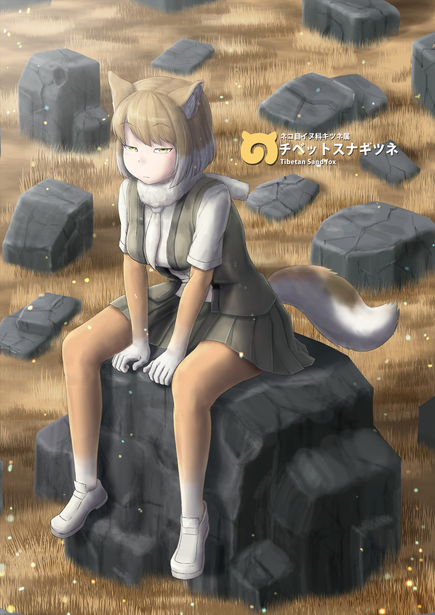 animal_ears arm_support bangs bodystocking character_name closed_mouth day english expressionless eyebrows_visible_through_hair fox_ears fox_girl fox_tail fur_scarf grass grey_skirt grey_vest half-closed_eyes highres hkanakakia kemono_friends leaning_forward light_brown_hair long_sleeves looking_at_viewer multicolored_hair necktie open_clothes open_vest outdoors outstretched_arms scarf shirt shoes short_hair short_over_long_sleeves short_sleeves sitting skirt solo stone swept_bangs tail tibetan_sand_fox_(kemono_friends) tsurime two-tone_hair vest white_footwear white_hair white_neckwear white_skirt yellow_eyes