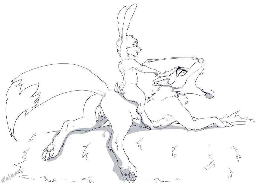 anus canine duo fangs female feral fox lagomorph male male/female mammal nude open_mouth pawpads paws predator/prey pussy rabbit riding riding_crop semi-anthro size_difference smaller_male tongue tongue_out whip zafara_(artist)