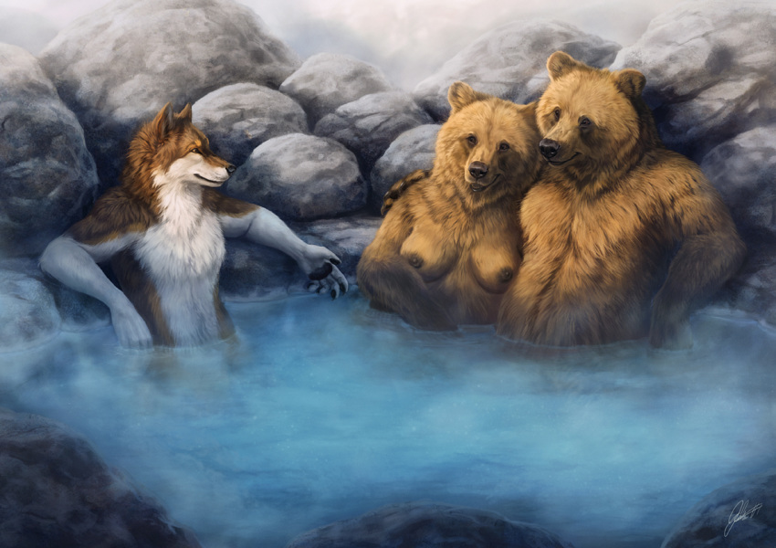 5_fingers anthro arm_around_shoulders bear black_nose breasts brown_fur brown_nipples canine claws detailed_background female fur group hot_spring johis male mammal nipples nude partially_submerged pool_(disambiguation) reclining rock romantic_couple sitting smile steam stone water white_fur wolf