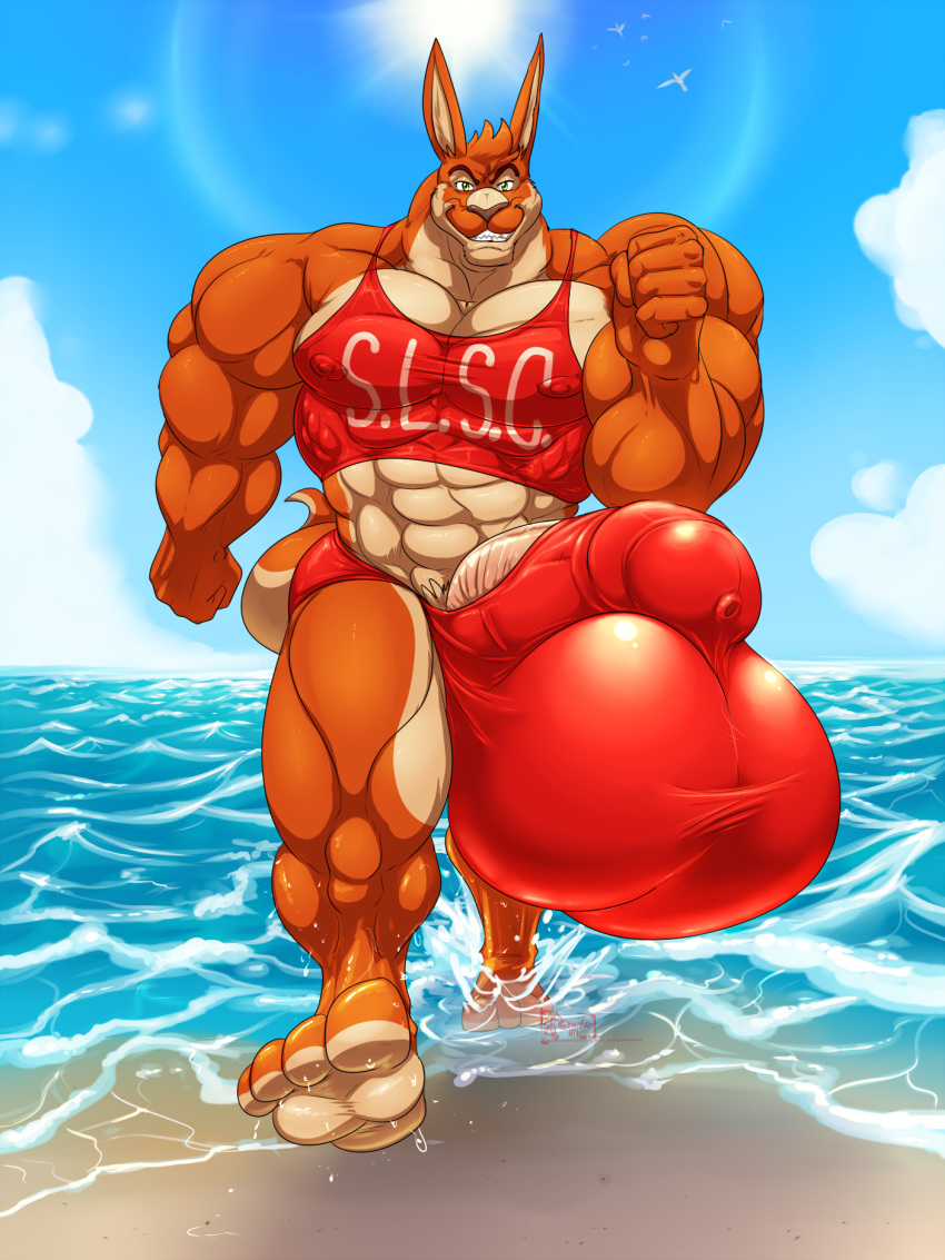 2018 4_toes 5_fingers abs anthro balls barely_contained beach biceps big_balls brown_nose clothing cloud day eyebrows fist green_eyes hair huge_balls humanoid_penis hungothenomster hyper hyper_balls hyper_muscles hyper_penis kangaroo looking_at_viewer male mammal marsupial muscular muscular_male muscular_thighs nipples orange_hair orange_skin penis plantigrade pubes sand sea seaside shirt sky smile solo sun swimsuit tank_top teeth thick_penis tight_clothing tight_underwear toes underwear walking water