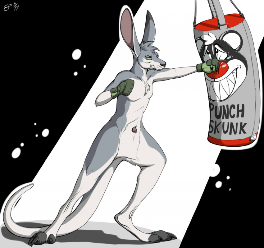 2017 anatomically_correct anthro audrey_(character) boxing boxing_gloves chest_tuft claws eyebrows eyelashes female fur green_eyes grey_ears grey_fur grey_tail kangaroo long_ears long_tail mammal marsupial maskedhusky multicolored_fur multicolored_tail nude pouch_(anatomy) punch punching punching_bag solo sport toe_claws tuft two_tone_fur two_tone_tail white_belly white_fur white_tail