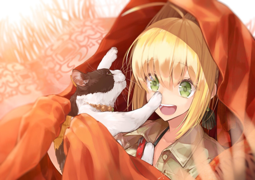:d animal bangs blonde_hair blurry blurry_background brown_shirt cat cloak collarbone collared_shirt commentary_request depth_of_field eyebrows_visible_through_hair fate/extra fate/grand_order fate_(series) green_eyes hair_between_eyes hair_intakes holding holding_animal holding_cat looking_away nero_claudius_(fate) nero_claudius_(fate)_(all) open_mouth orange_cloak round_teeth shirt sidelocks smile solo teeth upper_teeth utayoi_(umakatare)