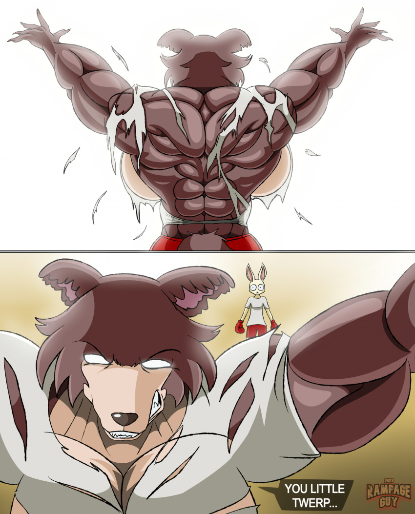 angry anthro back_muscles beastars big_breasts big_muscles bottomwear breasts brown_body brown_fur canid canine canis clothing duo female fur growth haru_(beastars) hi_res huge_breasts huge_muscles juno_(beastars) lagomorph larger_female leporid mammal multicolored_body multicolored_fur muscle_growth muscular muscular_anthro muscular_arms rabbit rampageguy red_bottomwear red_clothing red_shorts shirt shorts size_difference smaller_female tan_body tan_fur topwear torn_clothing white_body white_clothing white_fur white_shirt white_topwear wolf